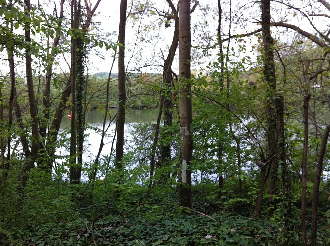 Mi-forêt / mi-étangs