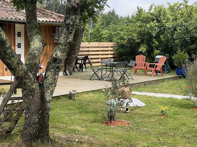 2025_maubourguet_patrick1 (Copier)