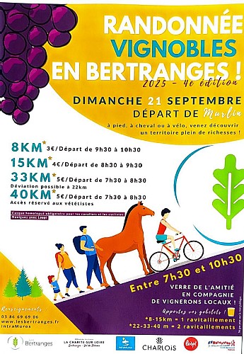 Randonnée Vignobles en Bertranges