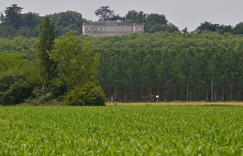 Château de Marcellus (Hors circuit)