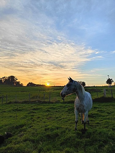 Ferme équestre Equi Complice 