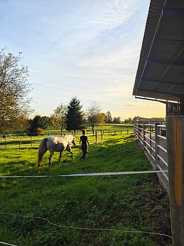 Ferme équestre Equi Complice 