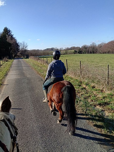 Ferme équestre Equi Complice 