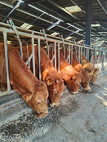 Ferme équestre Equi Complice 