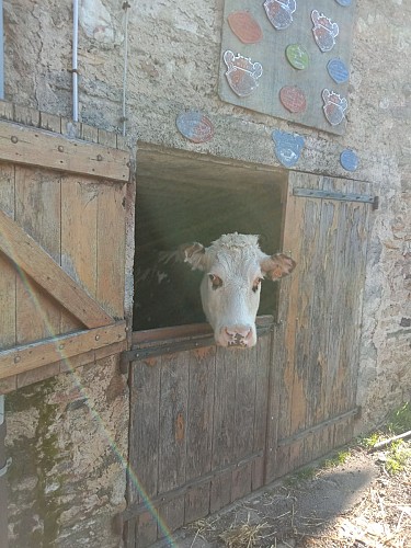 Ferme équestre Equi Complice 