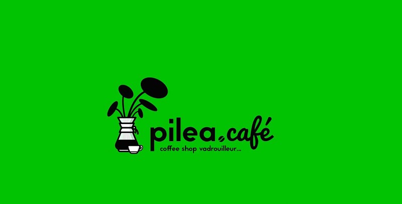 pilea cofee shop vadrouilleur_1