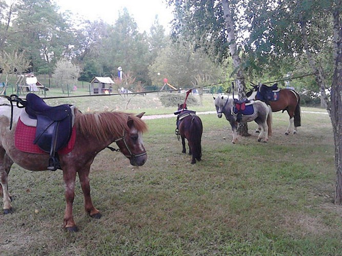 Sistels equestrian centre