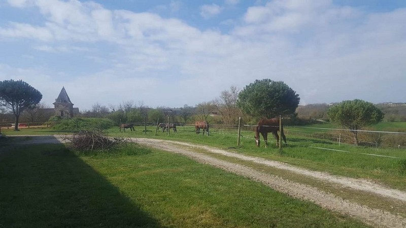 Les écuries de Saint-Vincent