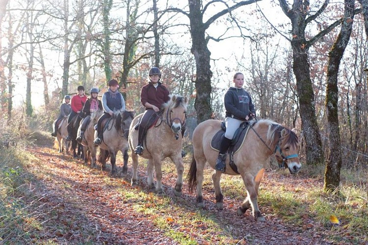 Centre équestre Randos-Fjords de Bouysse