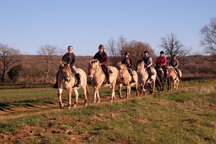 Centre équestre Randos-Fjords de Bouysse