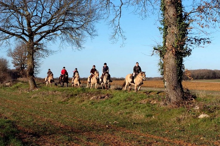 Centre équestre - Randos-Fjords de Bouysse