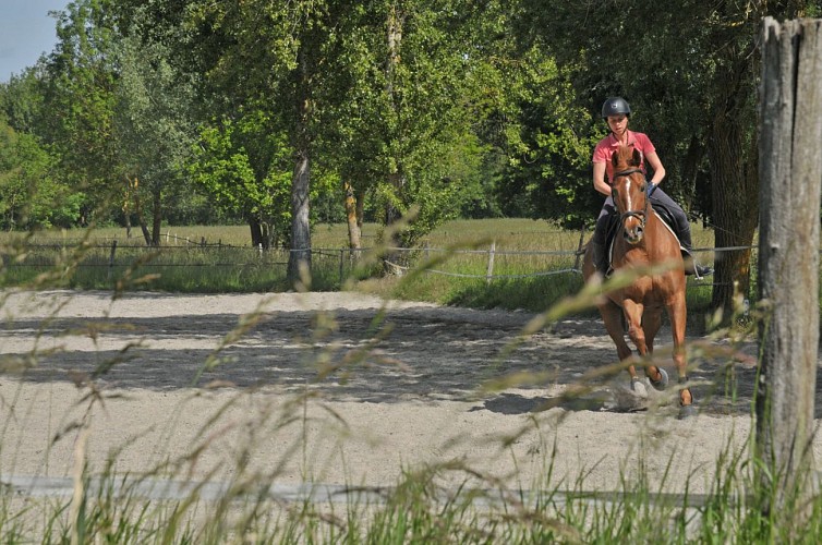 Owners stable "La Voie des Champs"