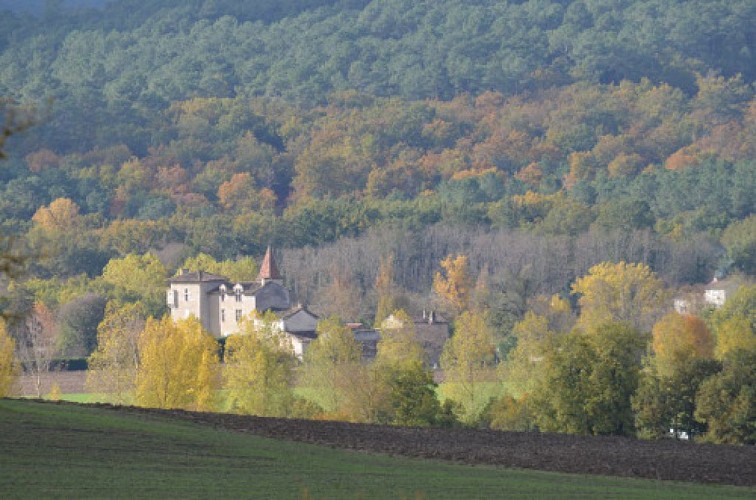 Point de vue sur la vallée de la Gélise (Maison forte de Cauderoue)