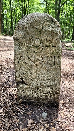 Borne limite commune