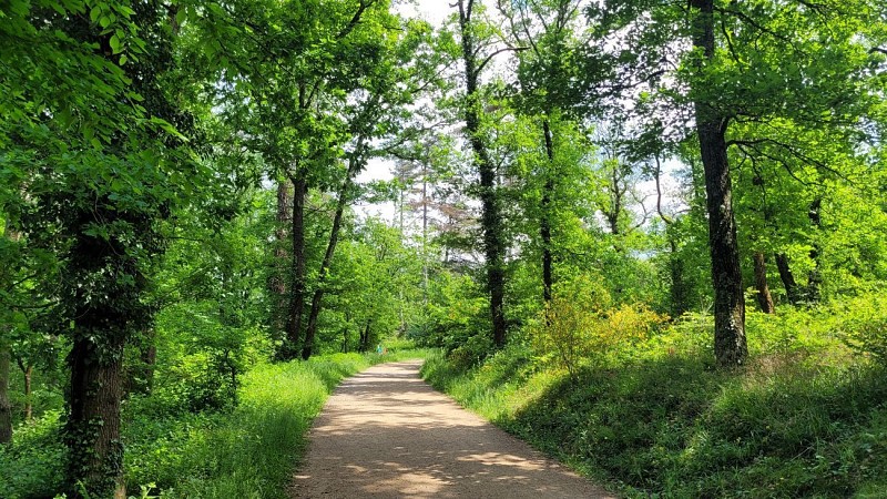 Parc