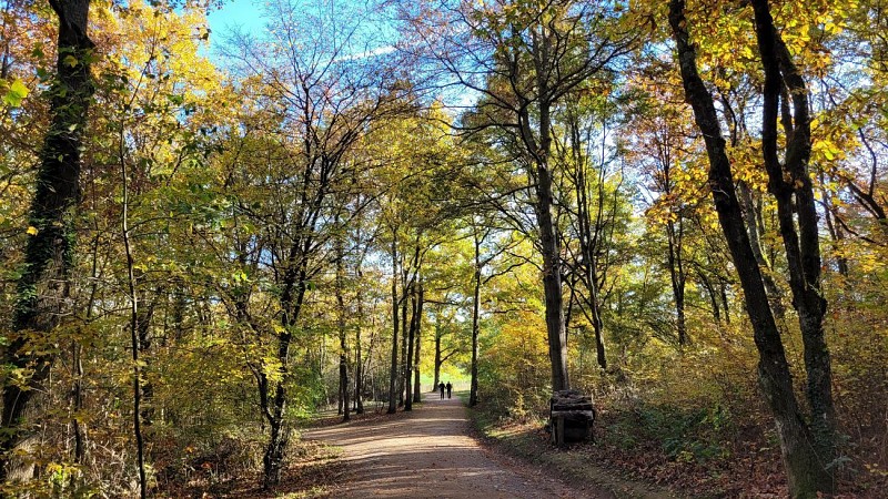 Parc