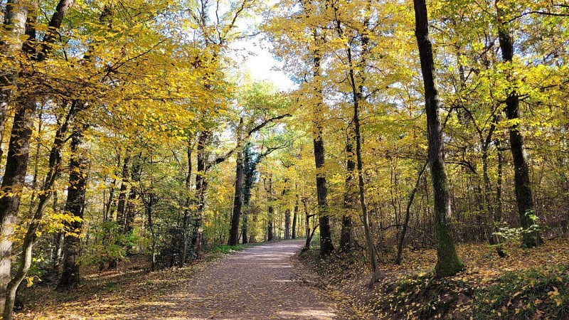 Parc