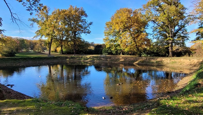 Etang