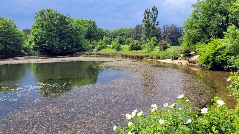 Etang