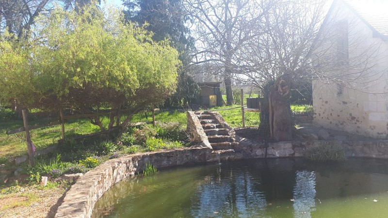 Chambres chez l'habitant Logéveil