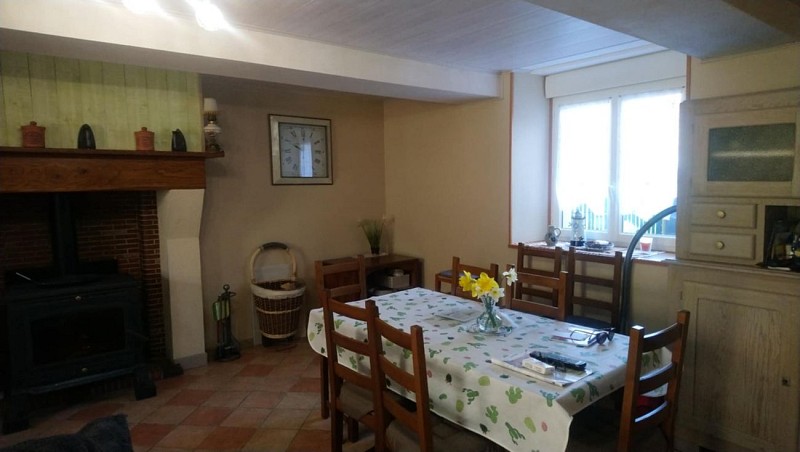 LES HORTENSIAS ROSES