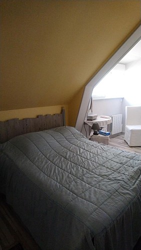 LES HORTENSIAS ROSES