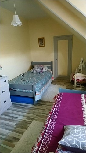 LES HORTENSIAS ROSES