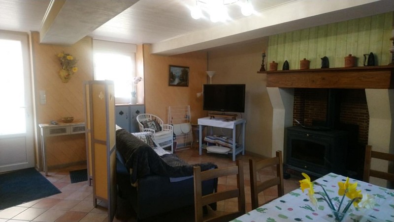 LES HORTENSIAS ROSES