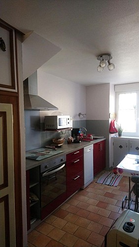 LES HORTENSIAS ROSES