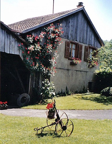 Holiday rental - Monique FRANCK