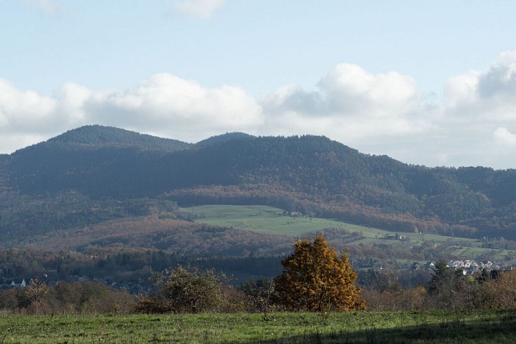 Auberge Niedermatten