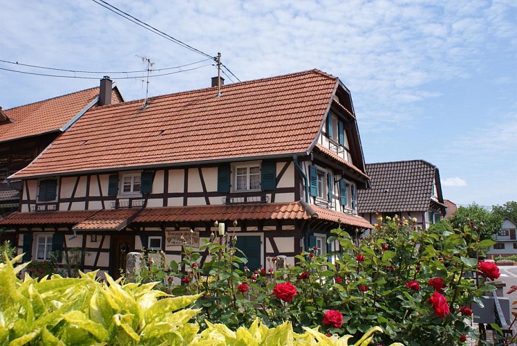 TRESORS DU RHIN digital treasure hunt Gambsheim - Rheinbischofsheim