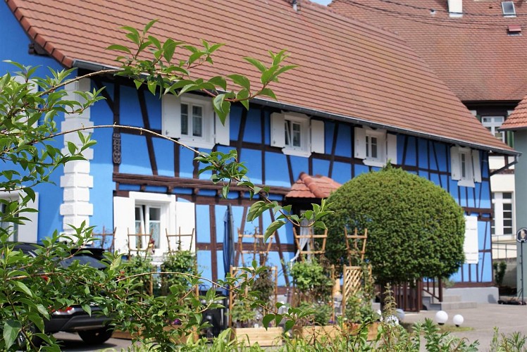 Jeu de piste numérique TRESORS DU RHIN Gambsheim - Rheinbischofsheim