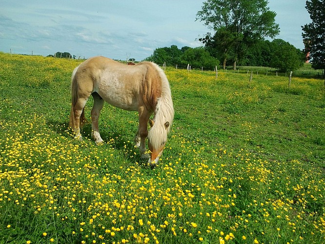La-Ferme-Sympa-Baroudeur
