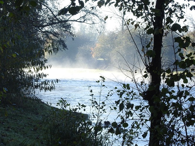la rivière Marne