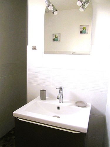 Le Goéland - Sainte-Livière - salle de bain
