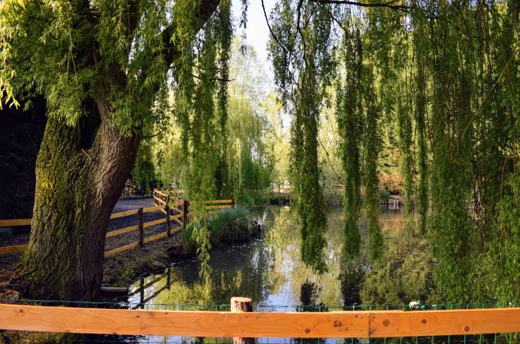 Capture d'écran 2025-06-10 142009