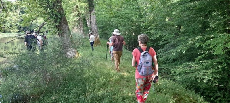 Hébergement insolite et tente au domaine de l'atrée à Saint-Martin-des-Champs en Puisaye en Bourgogne (16)