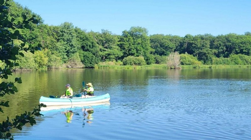 Hébergement insolite et tente au domaine de l'atrée à Saint-Martin-des-Champs en Puisaye en Bourgogne (15)