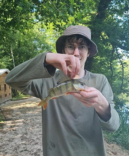 Hébergement insolite et tente au domaine de l'atrée à Saint-Martin-des-Champs en Puisaye en Bourgogne (14)