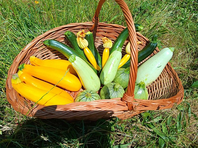 Photo panier JardinEulalie