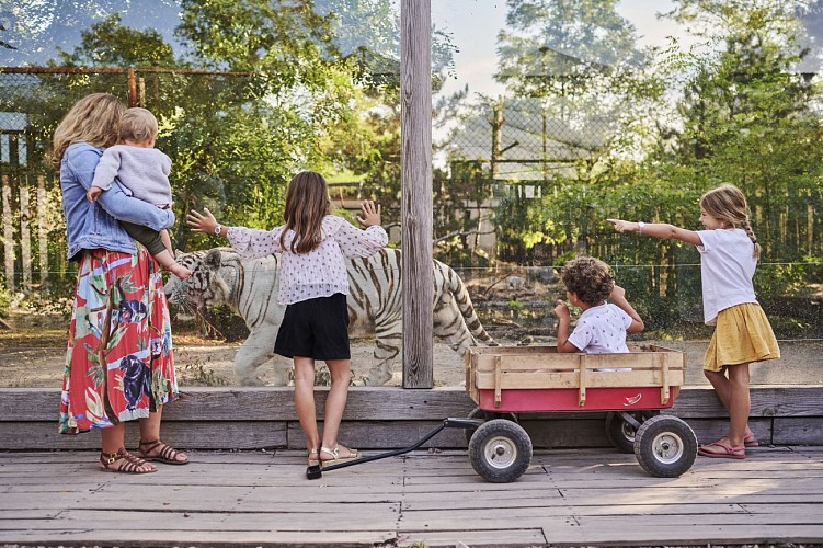 1. ZOO BORDEAUX PESSAC