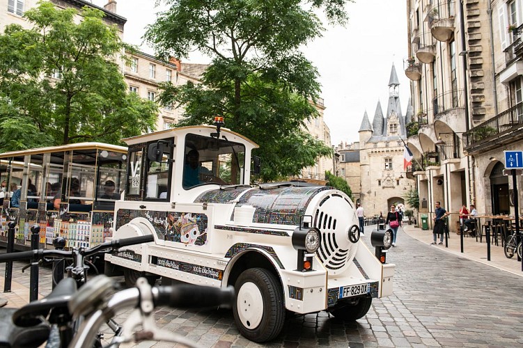 Petit train électrique