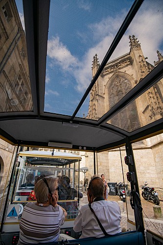 Petit train électrique