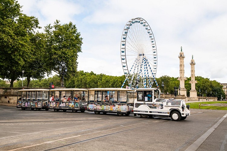 Petit train électrique