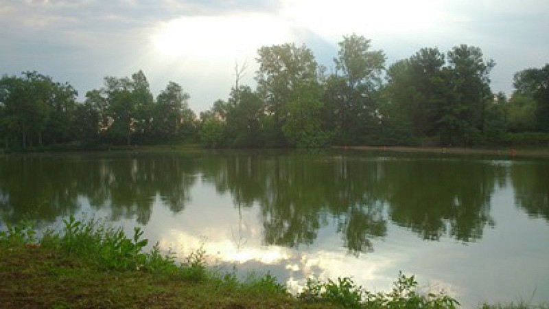 L'étang des fauries