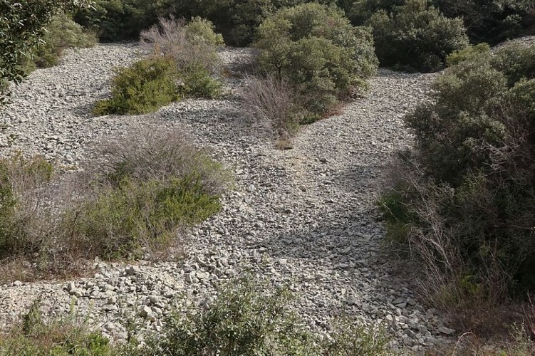 Éboulis du Petit Luberon