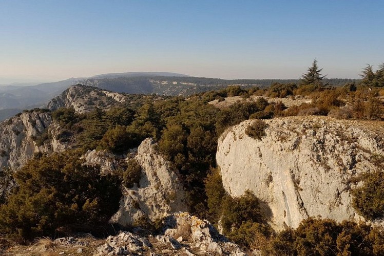 Plateau sommital du Petit Luberon