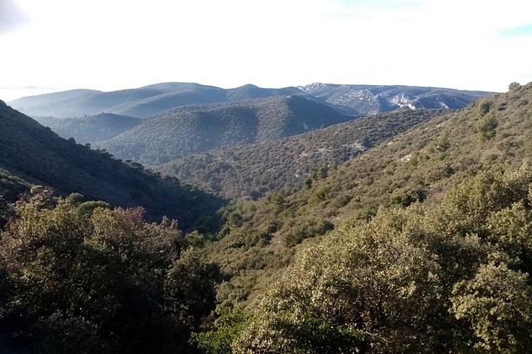 Combe de Recaute et les Alpilles au loin