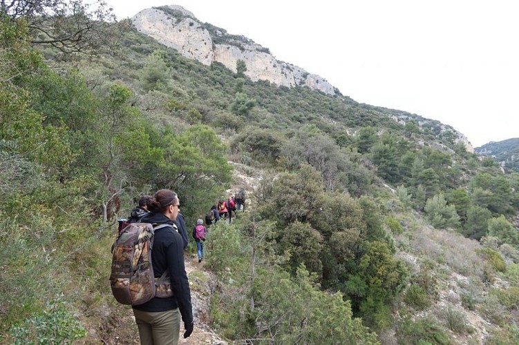 Géodiversité à Lauris